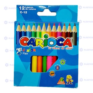 PINTURA CARIOCA X12 CORTA FLEX