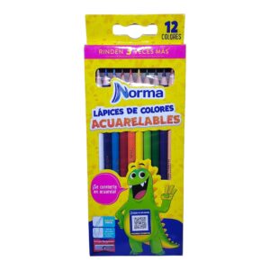 PINTURA NORMA X12 ACUARELABLE