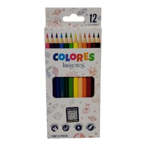 PINTURA NORMA X12 L IMAGENES