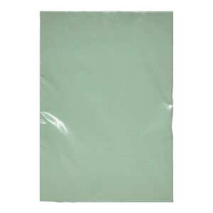 CARTULINA A4 BRIST N VERDE X100