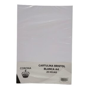 CARTULINA A4 BRISTOL N BLANCA X25 L
