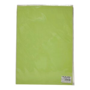CARTULINA A4 BRISTOL N VERDE X25